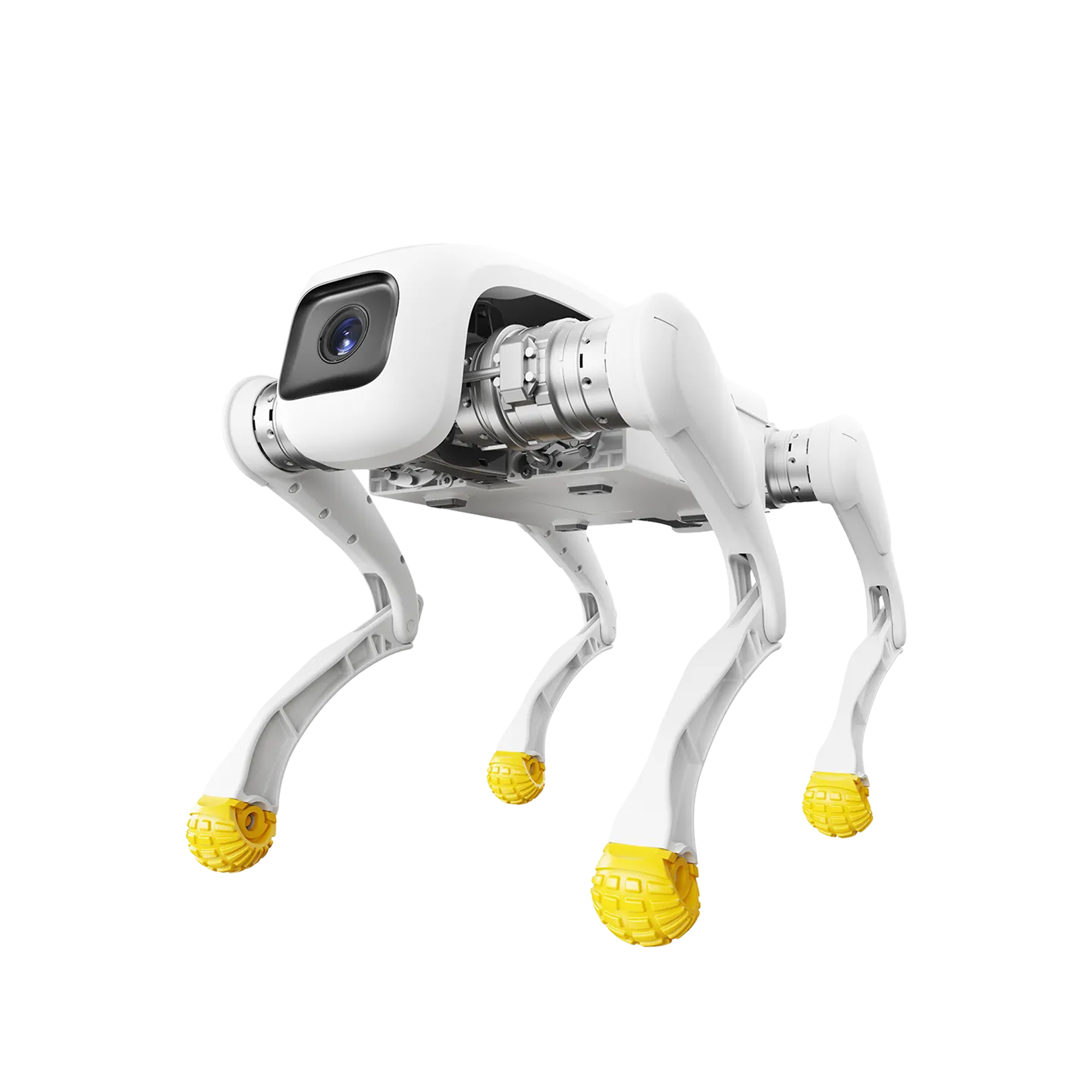 AGIBOT D1 Edu, white quadruped robot with yellow feet, studio photo on a white background