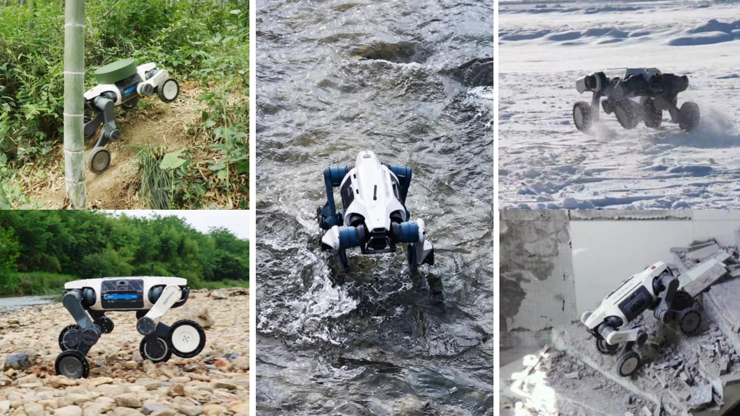 Five photos of quadruped robots on a wooded slope, a rocky riverbank, in a stream, on snow and on rubble