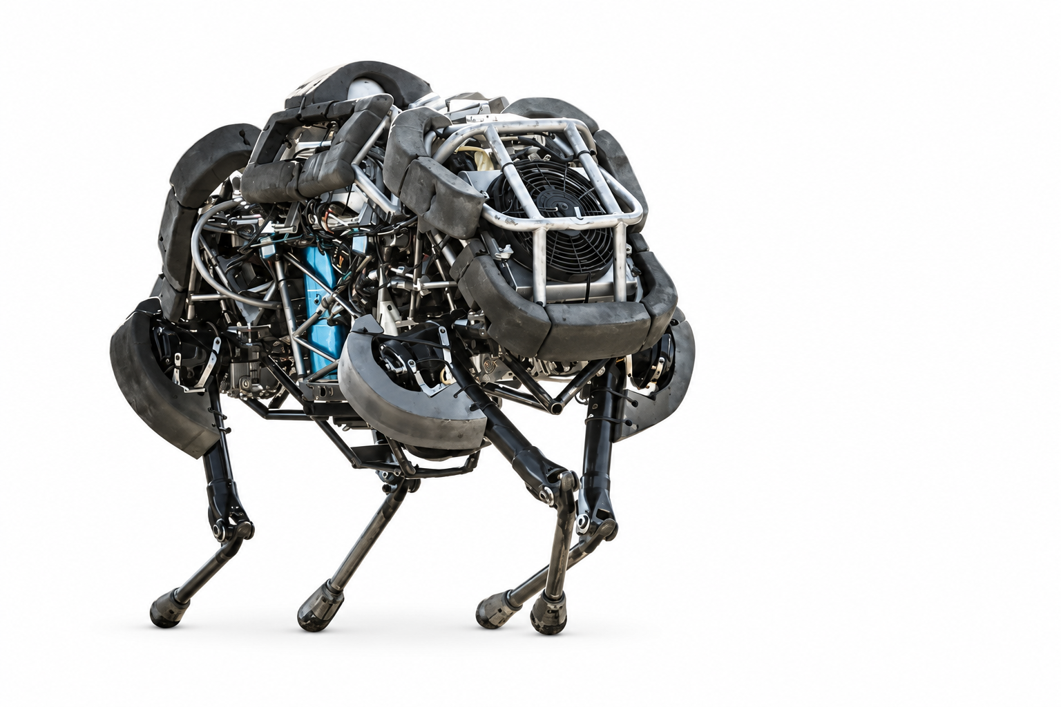 Boston Dynamics WildCat high-speed galloping quadruped robot