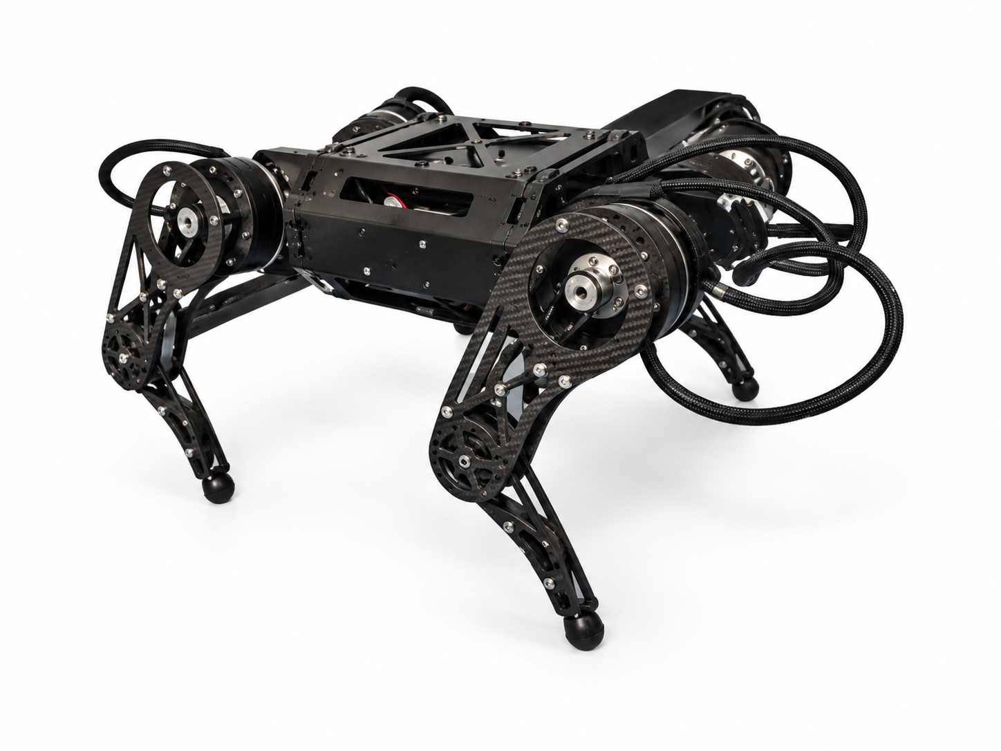 DFKI Quad B12 biologically inspired quadruped research robot