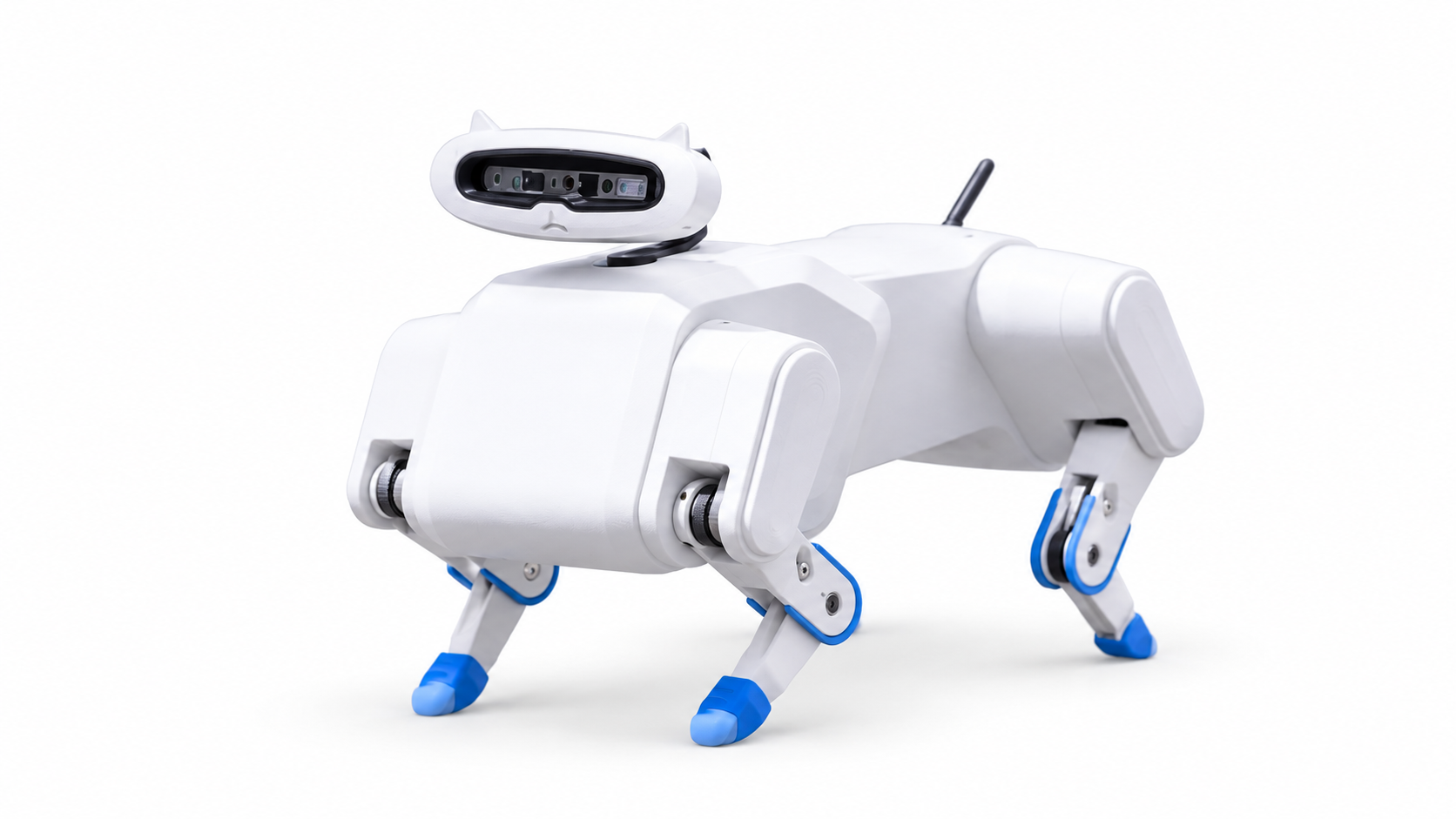 DLR Bert quadruped biological locomotion and space exploration robot