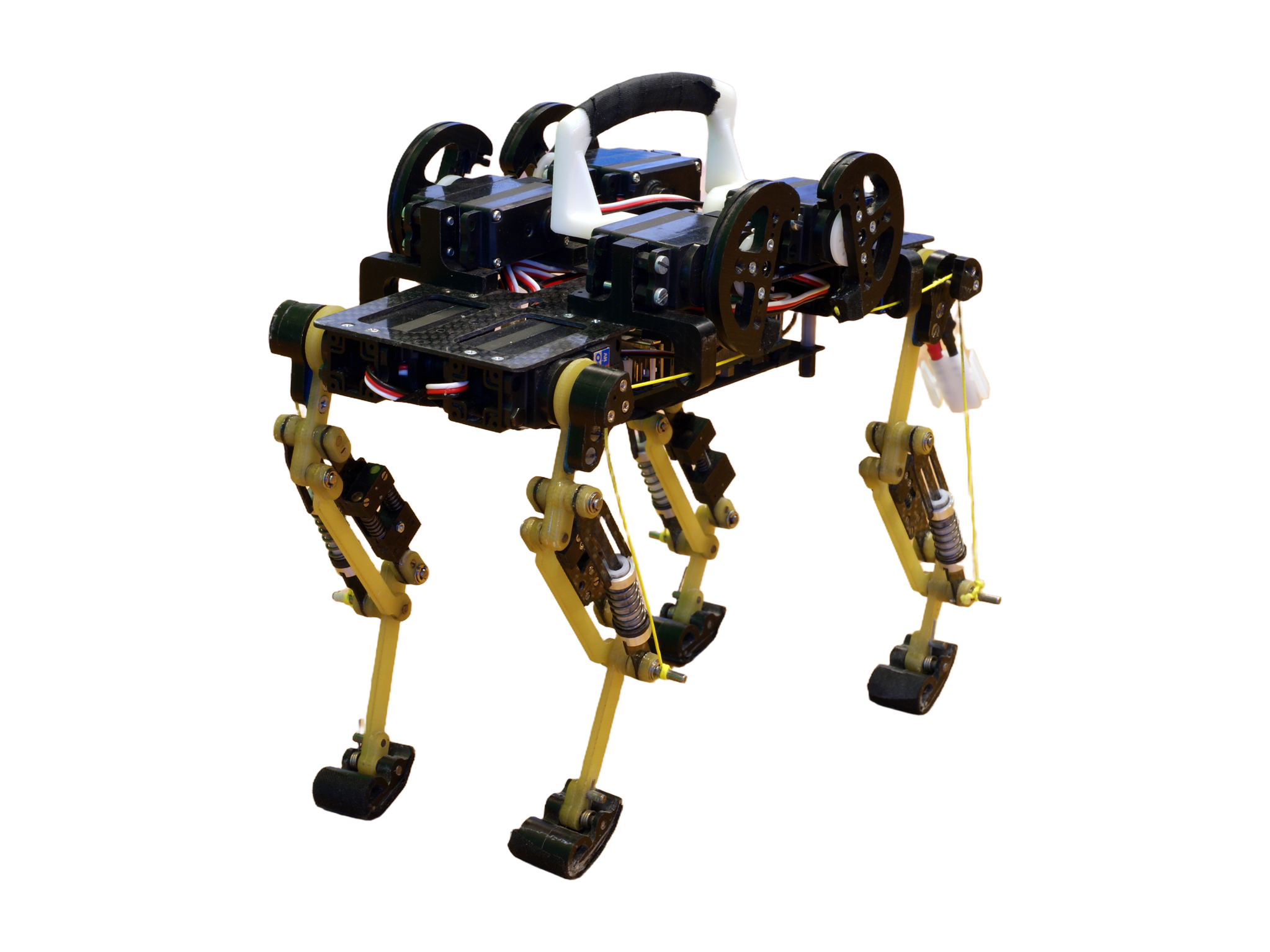 EPFL Cheetah-Cub, small quadruped robot with yellow leg segments and springs, photo from EPFL BioRob