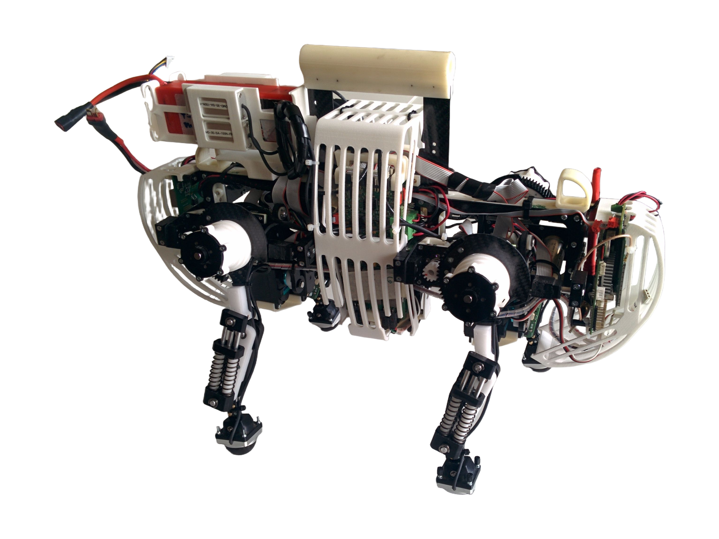 EPFL Oncilla, research quadruped robot with a white lattice shell and spring legs, seen from the side, photo from EPFL BioRob
