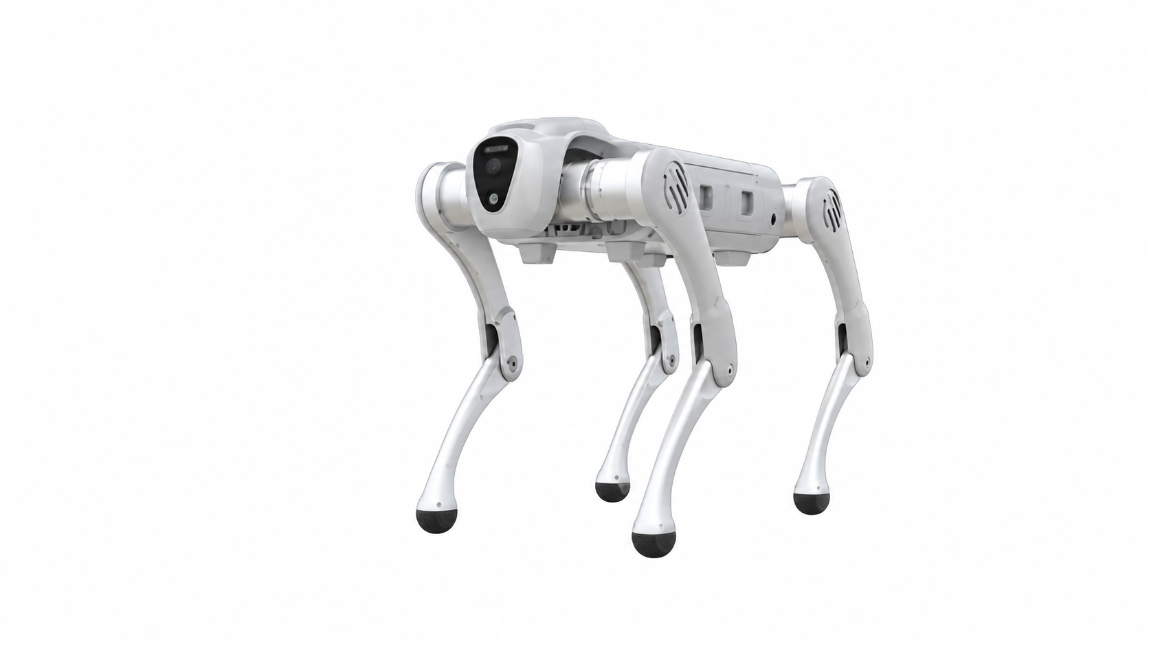 Galileo (Tianjin) quadruped robot, standing version, product photo from the manufacturer's PDF product manual