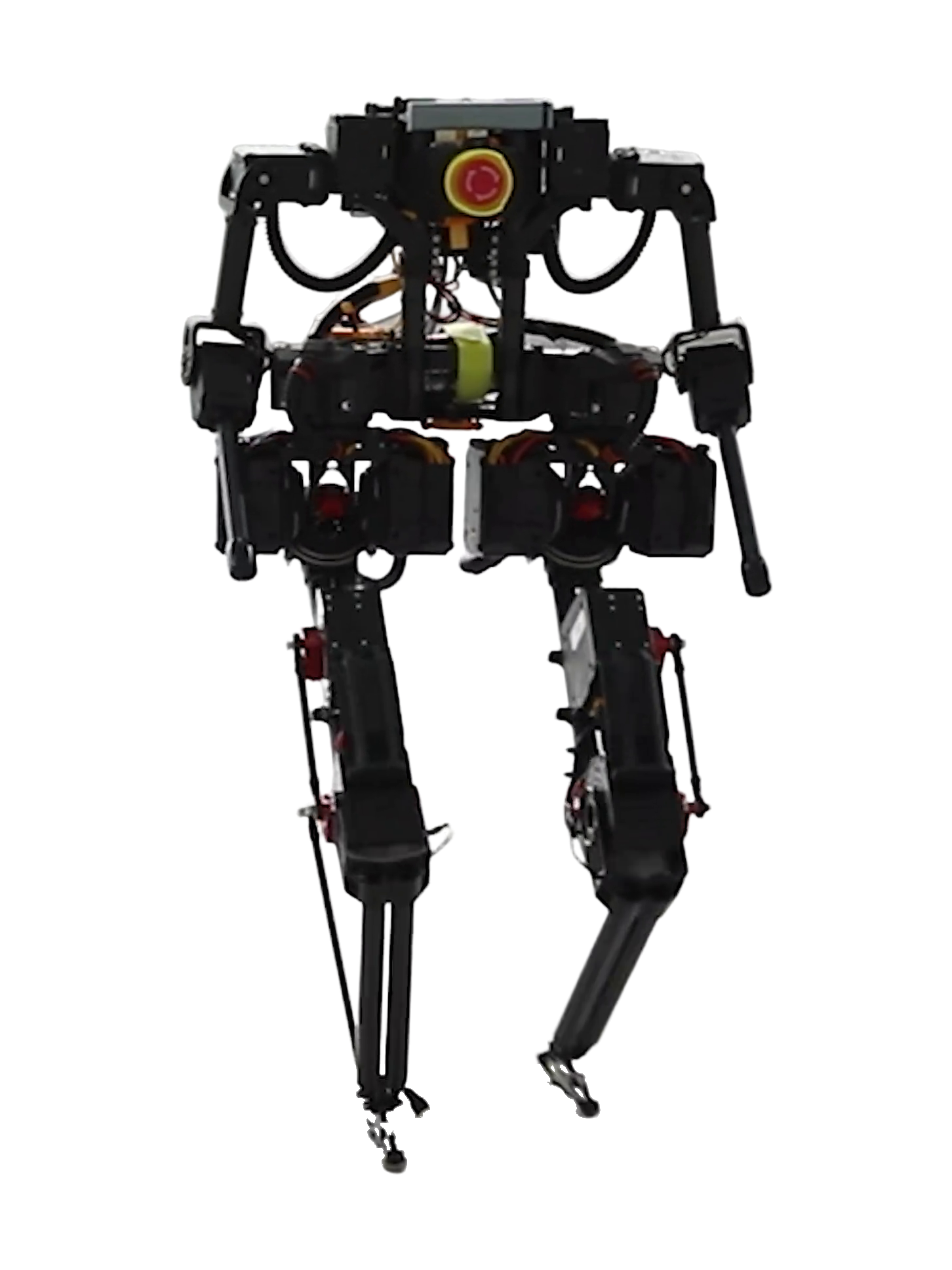 Westwood Robotics BRUCE, small black bipedal robot with exposed actuators, red details and a red emergency stop button on top, no head, walking towards the camera with one foot lifted, seen from the front, still from the manufacturer's video