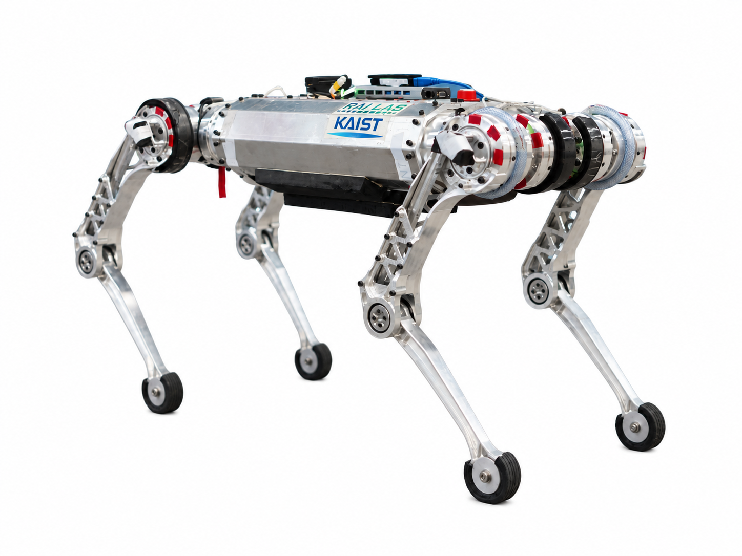 KAIST RAIBO quadruped research robot for dynamic locomotion on sand and soft terrain