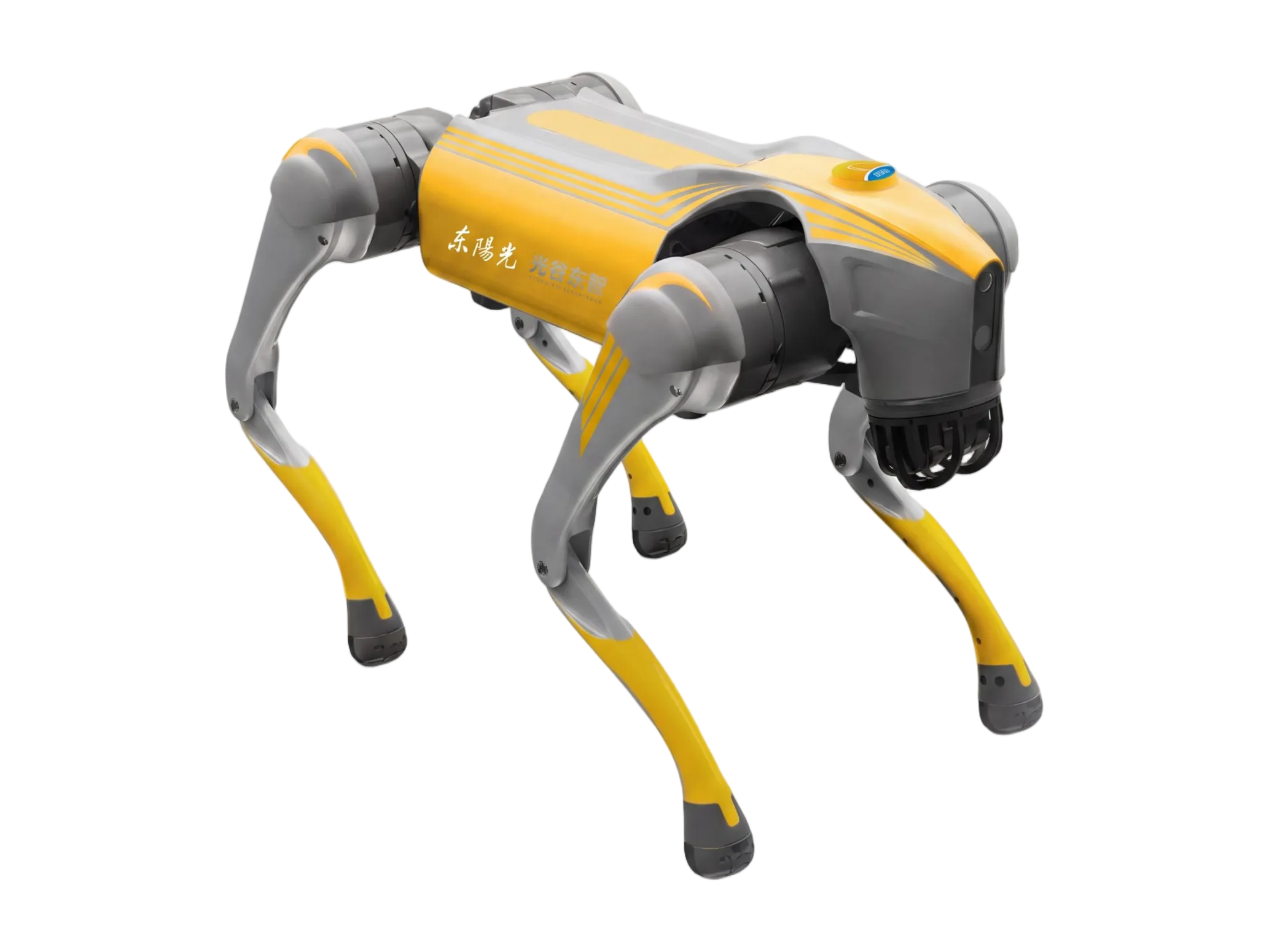 Lumen Q1, yellow and grey quadruped robot, manufacturer product image