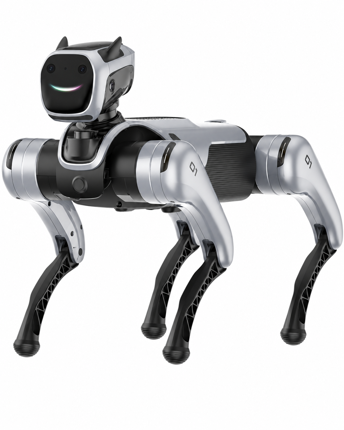 MagicDog EDU