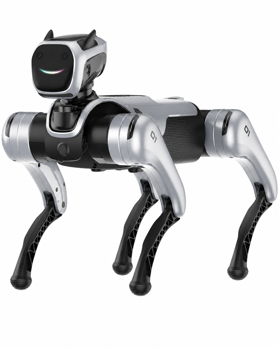 MagicDog PRO
