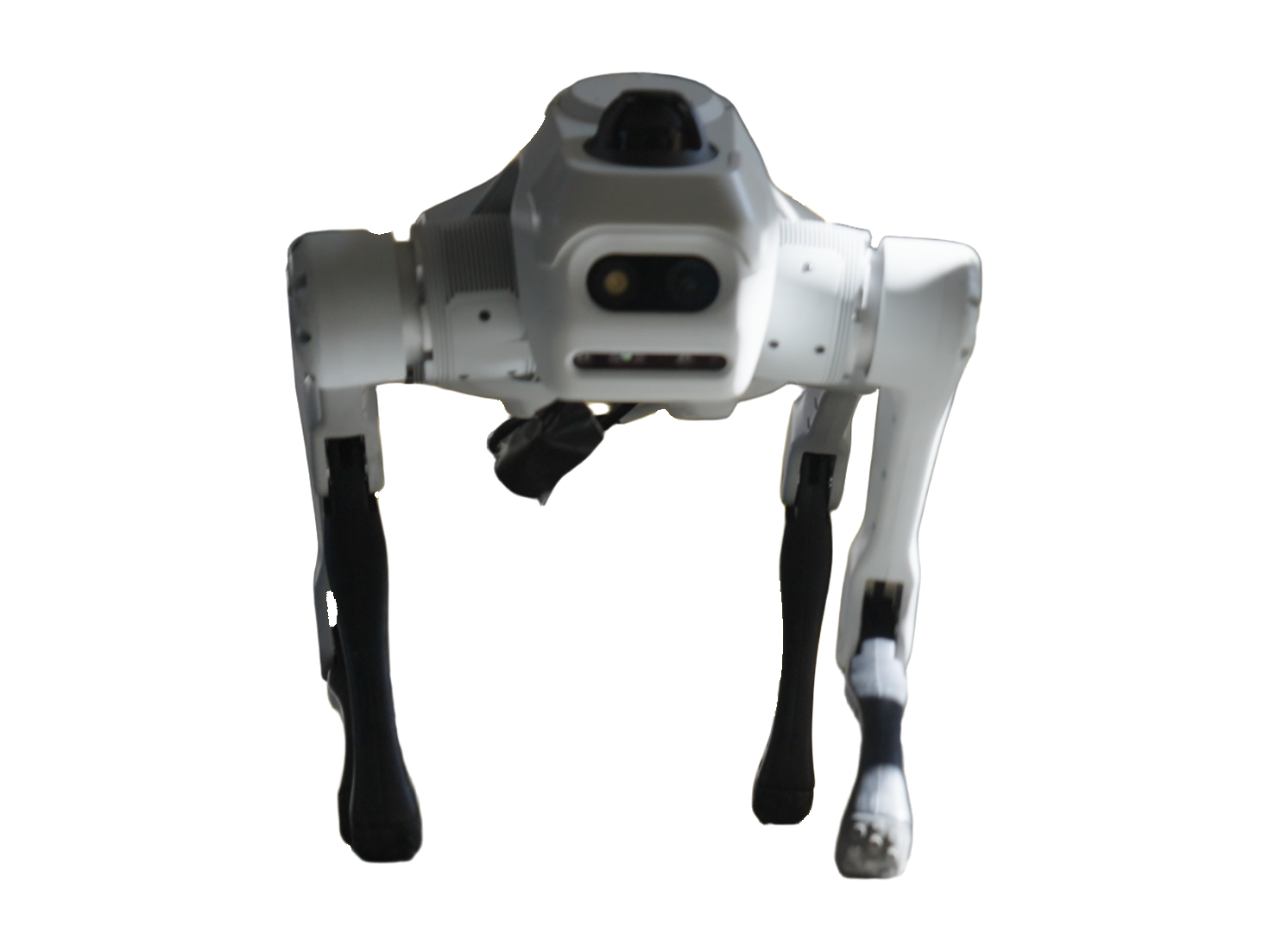 MagicLab MagicDog T1, white quadruped robot with a black sensor dome on top of the body and a small black module under the belly, seen from the front, press photo