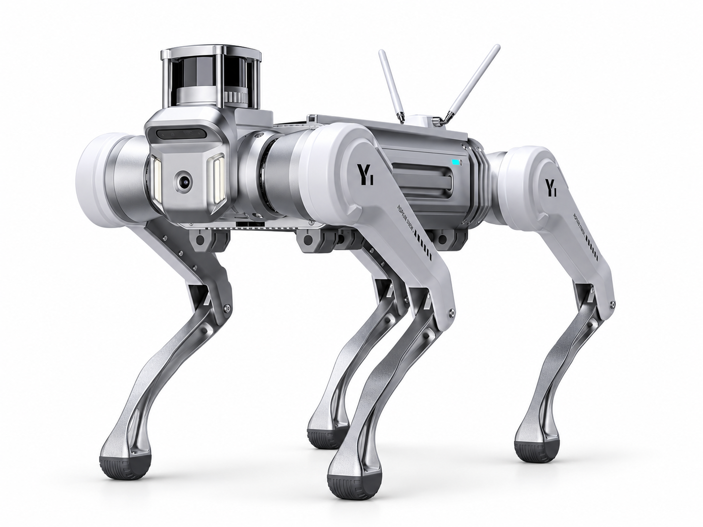 MagicLab MagicDog-Y1 photographed on rocky ground, with the Y1 marking on its hind legs