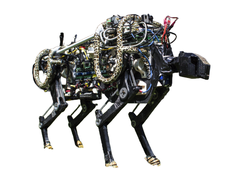 MIT Cheetah 2, research quadruped robot with exposed wiring and electronics, photo from the MIT Biomimetic Robotics Lab