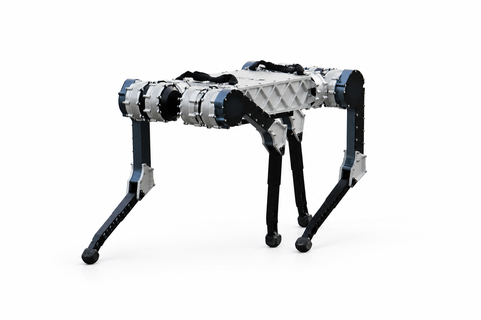 Raion Robotics RAIBO2 outdoors on asphalt
