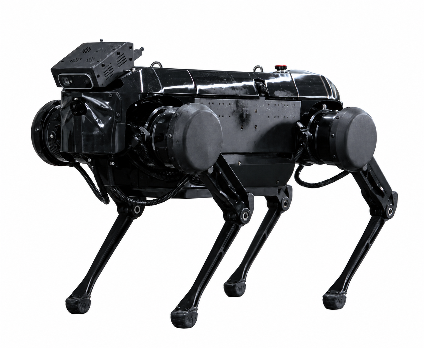 Tencent Robotics X Jamoca, glossy black quadruped robot with a camera box on top of its head and a red button on its back, studio photo on a white background