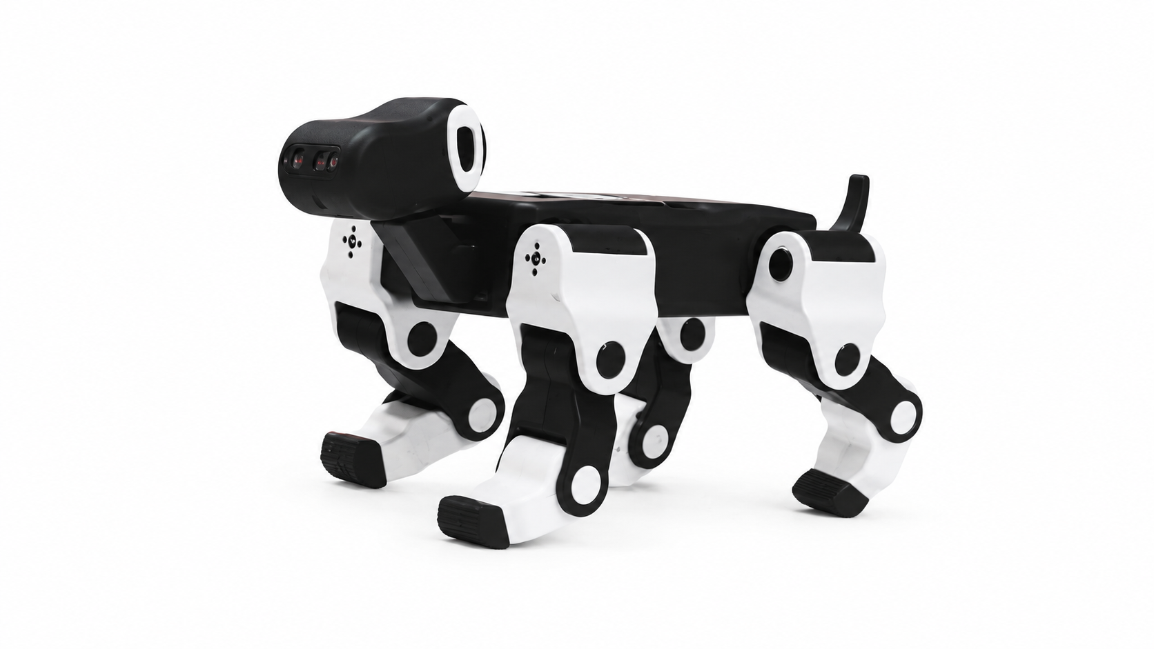 e-Dog